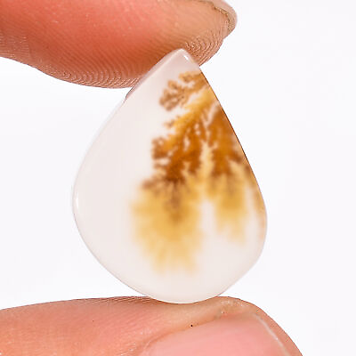 #ad 07.70Cts. Natural Stunning Scenic Dendritic Agate Fancy Cabochon Loose Gemstone $12.25