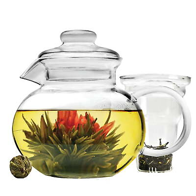 #ad Blossom Borosilicate Glass Teapot with Infuser and 1 Blooming Flowering Tea $29.40
