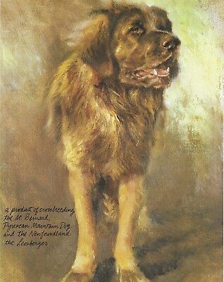 #ad ** Leonberger CUSTOM MATTED Vintage Dog Art Print Poortvliet $19.95