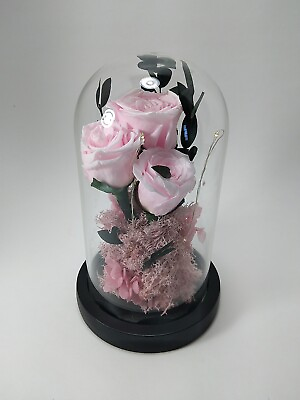 #ad Unbranded Valentine Rose Battery Light Up Glass Cloche $20.00