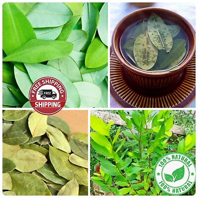 #ad Ceylon Erythroxylum Novogranatense Dried Leaves High Quality Rare Herbal tea $135.96