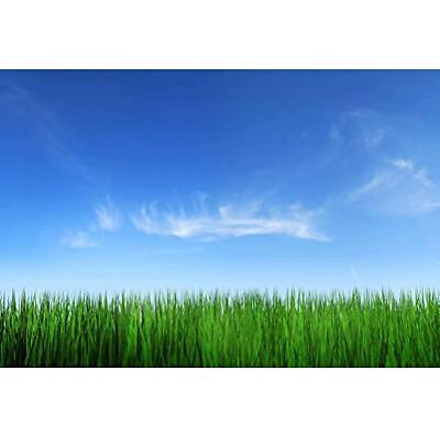 #ad shensu Vinyl 7x5ft Sky Clouds Green Grass Backdrops for Photography Blue Sky ... $28.09