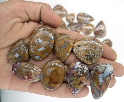 #ad Natural Palm Root Agate Loose Gemstone Fancy Cabochon $33.14