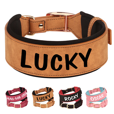 #ad Wide Leather Padded Dog Collar Personalized with Name Rottweiler Labrador M XL $10.89