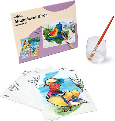 #ad Relish Magnificent Birds Aquapaints Pack of 5 Reusable Water Painting Alzheime $43.74