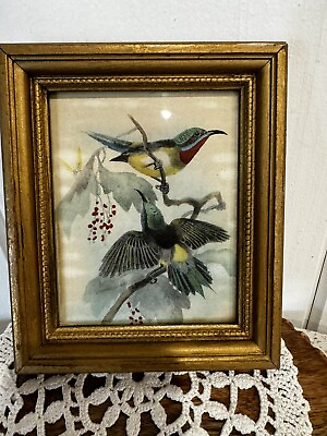 #ad Beautiful Vintage Mid Century Framed Bird Print 6.5quot;x5.5quot; $45.70