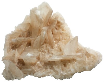 #ad Selenite Crystal Cluster Display Specimen 3209 grams SEL016 $142.99