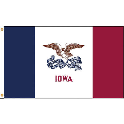 #ad NYLGLO 141780 Iowa Flag5x8 FtNylon 5JFH6 $91.96