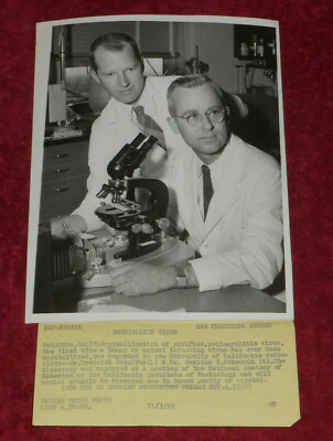 #ad 1955 Press Photo University of California Scientists Crystallize Polio Virus $7.73