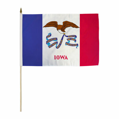 #ad 1 Dozen Iowa Stick Flag 12x18in Handheld US State Iowa Flag IA $26.95