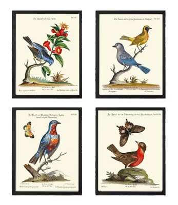 #ad Vintage Bird Nest Wall Art Prints Set of 4 Beautiful Antique Dining Unframed $48.00