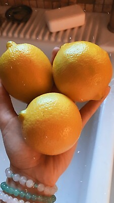 #ad 10 Lemon 🍋 Seeds Organic Non Gmo Pesticide Free Garden Citrus Fruit Tree $3.99