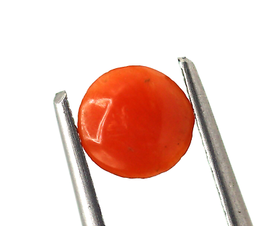 #ad 4.02 Ct Natural Saffron Red Coral Loose Round Shape 9 PCS Lots Italy Gemstone $12.32