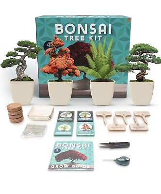 #ad Bonsai Tree Starter Kit. 4 Plants. Bamboo Fiber Pots. $19.99