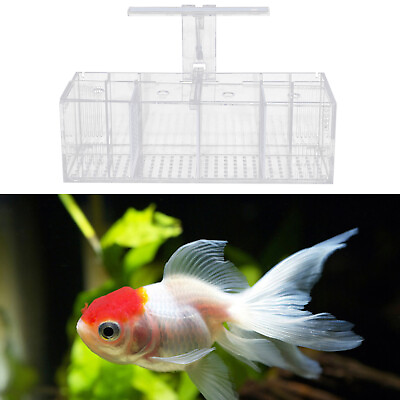 #ad LED Light Aquarium Acrylic 4 Grids Betta Fish Tank Isolation Box with Pump New $52.25