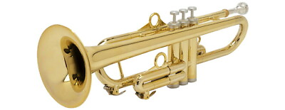#ad Pinstruments Ptrumpet1Htg Gold Plastic Trumpet With Special Case $524.51
