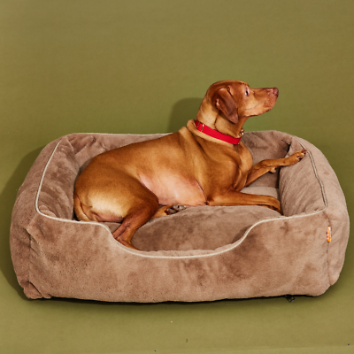 #ad Washable Bolster Dog Bed Medium Dog Bed Dog Bed for Medium Dogs $89.99