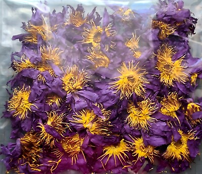 #ad BLUE LOTUS dried flowers Nymphaea caerulea Organic Hand Harvested 1 ounce $9.74