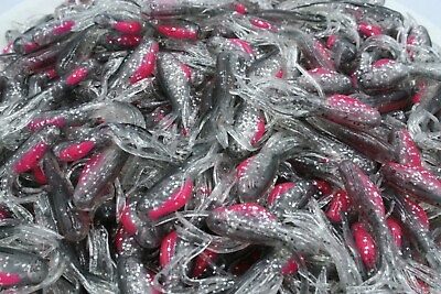 #ad 2quot; Smoke Sparkle Minnow Tubes Hollow Fat Belly Crappie Panfish Fishing Baits $31.99