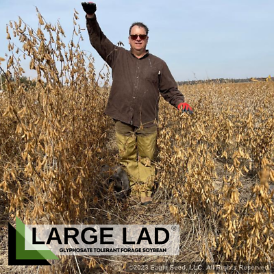 #ad Eagle Brand Large Lad ® Forage Soybean Roundup Ready 1 Acre Bag $139.00