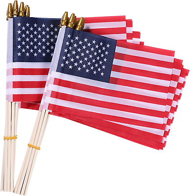 #ad Small American Flags 12 Pack 4X6 Inch Small American Flags on Stick Handheld A $10.14