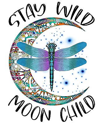 #ad 2” Dragonfly Sticker set of 2 Stay Wild Moon Child Always Forever Heaven $3.99