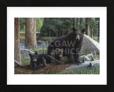 #ad FRAMED ART New Discoveries by Kevin Daniel Bear Wildlife Cubs Print Frame 13x16 $64.99