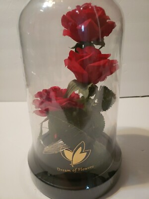 #ad Beauty and The Beast Rose in Glass Dome LED Light Up Enchanted Flower $20.00