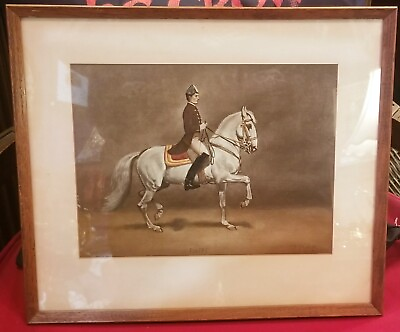 #ad Josef Plank Piaffe Equestrian Lipizzaner Stallion Horse Print Framed amp; Matted $60.00