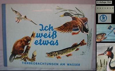 #ad 1965 ANTIQUE GERMAN DRESDEN CHILD BOOK WATER ANIMALS $15.00