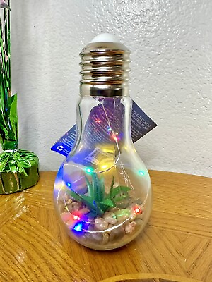 #ad Succulent Terrarium Aloe Vera Light Up Multicolor Glass Bulb i Zoom Artificial $12.99