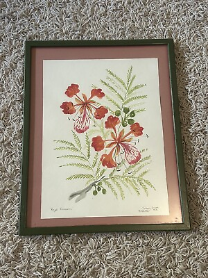 #ad WATERCOLOR JENNY DUNN VINTAGE PAINTING quot;ROYAL POINCIANAquot; 1979 $75.00