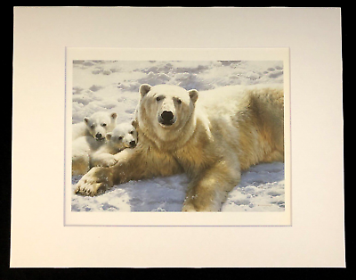 #ad Carl Brenders quot;Mother of Pearlsquot; 11 x 14 Matted Polar Bear Wildlife Print $25.99