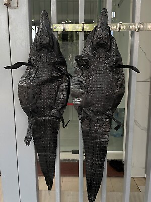 #ad 2 Black Real Crocodile Skin Real Leather Hide Exotic Pelt Taxidermy $119.00