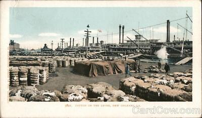 #ad New OrleansLA Cotton on the Levee Louisiana Detroit Photographic Co. Postcard $9.99