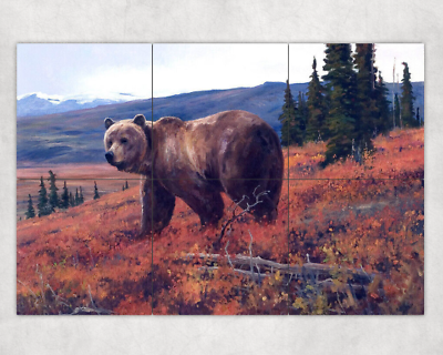 #ad grizzly bear wildlife nature woodland ceramic tile mural backsplash $179.00