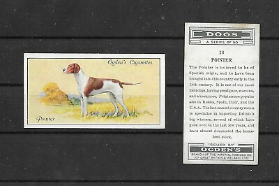 #ad 1936 UK Dog Art Wardle Body Study OGDEN Cigarette Trade Card ENGLISH POINTER $2.99