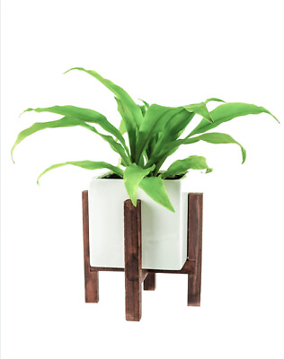 #ad Modernism Modern Square Ceramic Indoor Plant Pot with Rustic Wooden Stand 5 inch $11.19