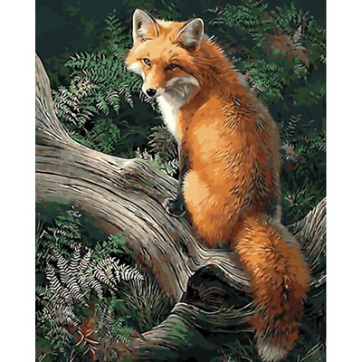 #ad Paint By Numbers Adults Beautiful Fox DIY Painting Kit 40x50CM Canvas $13.30