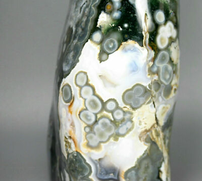 #ad 5.84lb Collection！Natural Ocean Jasper Agate Crystal Stone Reiki Madagascar $349.99